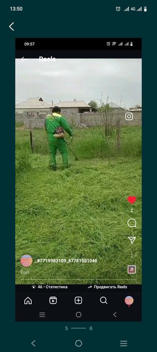 Шоп ору газон егу.