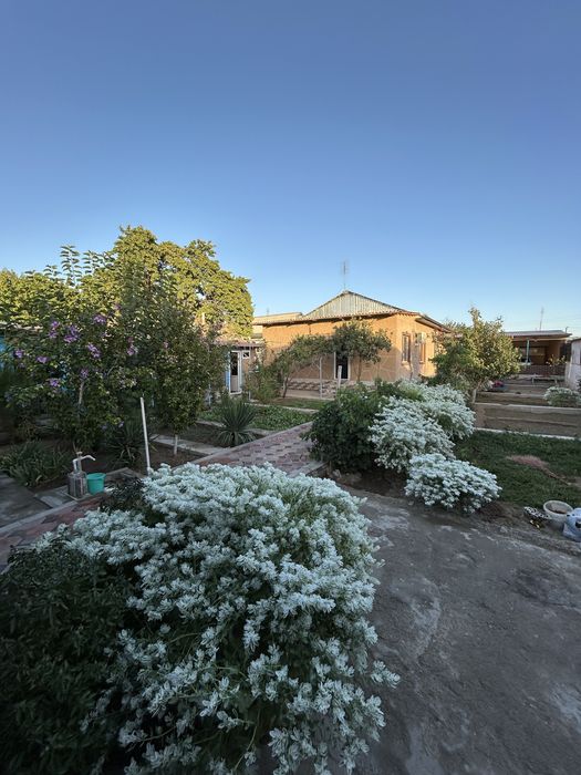 Dala hovli sotiladi METALLURG/MISGARLAR