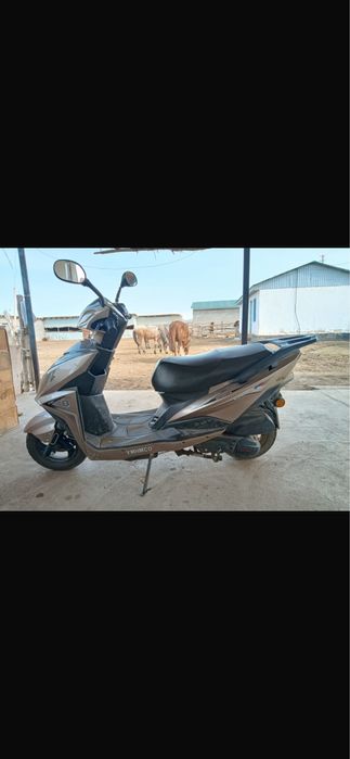 Мапет келісім бар даукімет толық