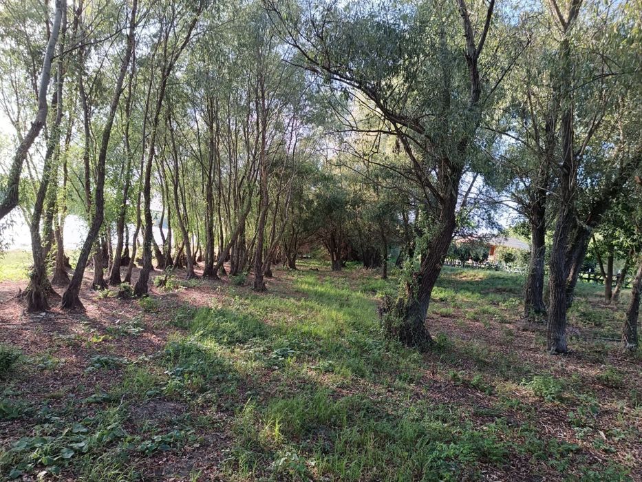 Teren intravilan pe malul dunarii 816mp*3