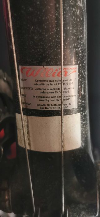 Cursiera carbon (Ritchey Wilier Triestina Campagnolo)