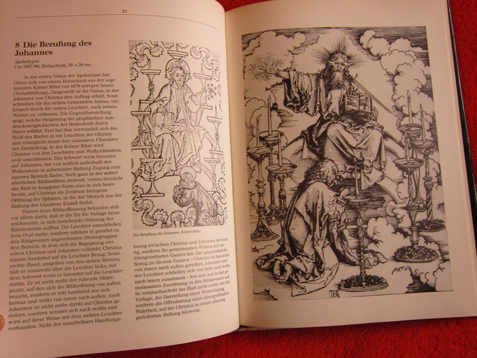 cadou rar Albrecht Durer book 1976 Germania