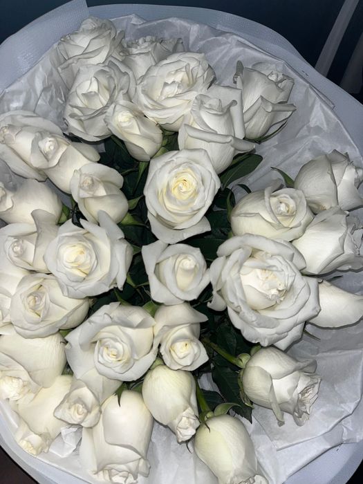 цветы свежий розы белый