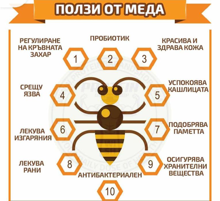 Биологичен, екологичен Пчелен мед сертифициран