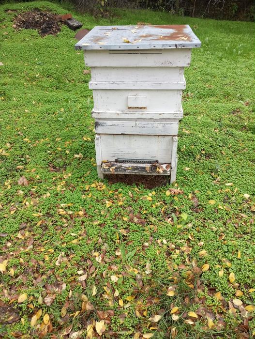 Кошери за пчели.