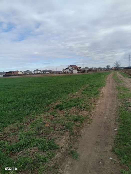 Teren intravilan de vânzare Sabareni Giurgiu 5000mp