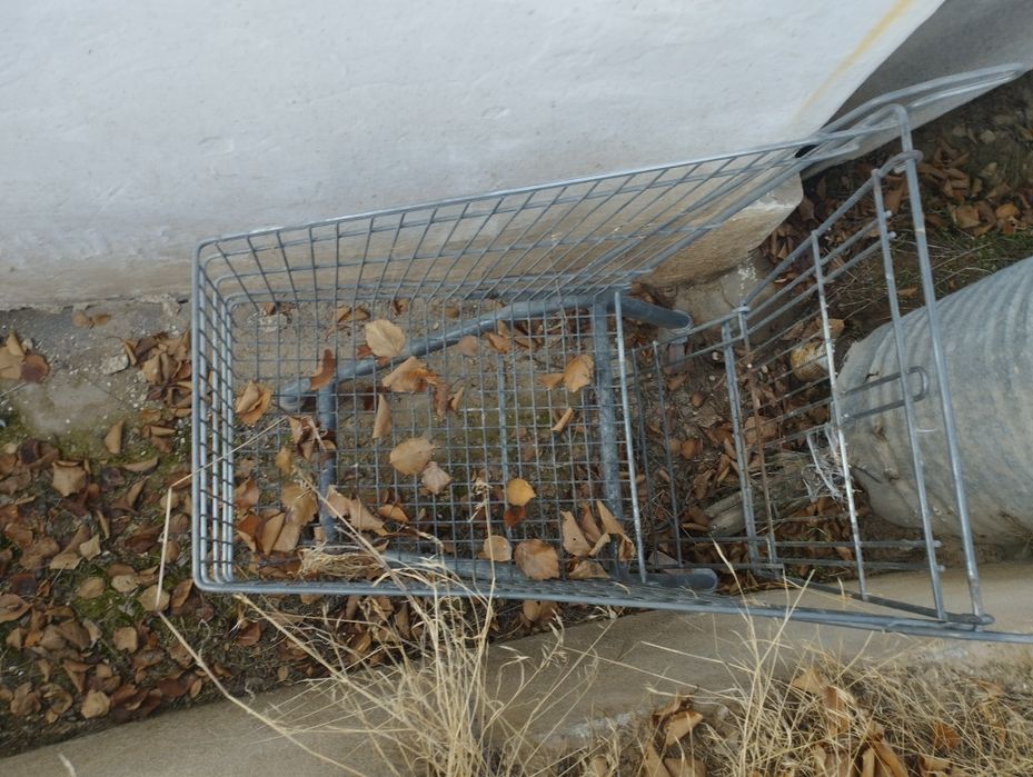 Продам дача дом Тураском даче.