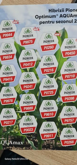 Samanta  Monsanto Pio Syngenta