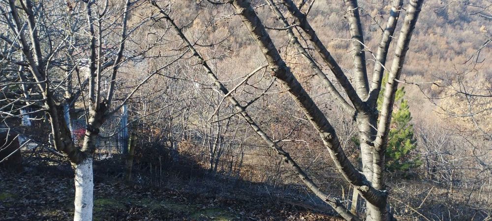 Продава се Парцел в Пловдив, Център - 1760 кв.м за 37 €/кв.м - Снимка #2