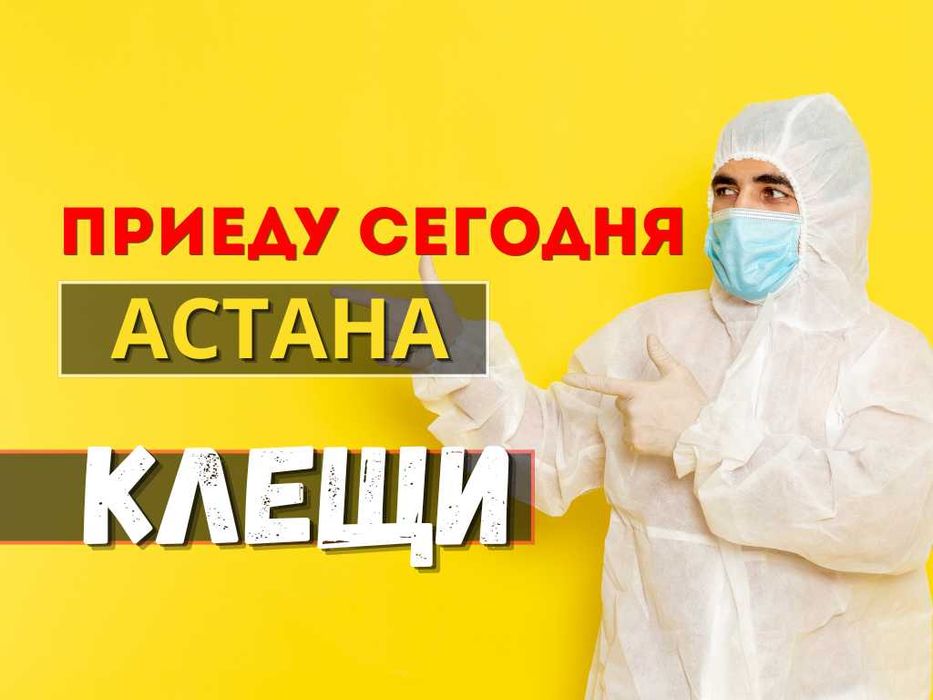 Дезинфекция уничтожение клещей комаров блох муравьёв ос змей пауков