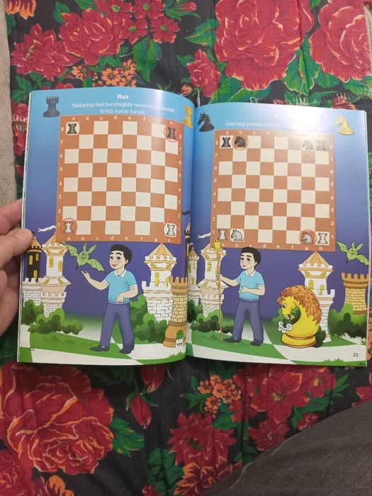 Книга для начинающих играть в шахматы