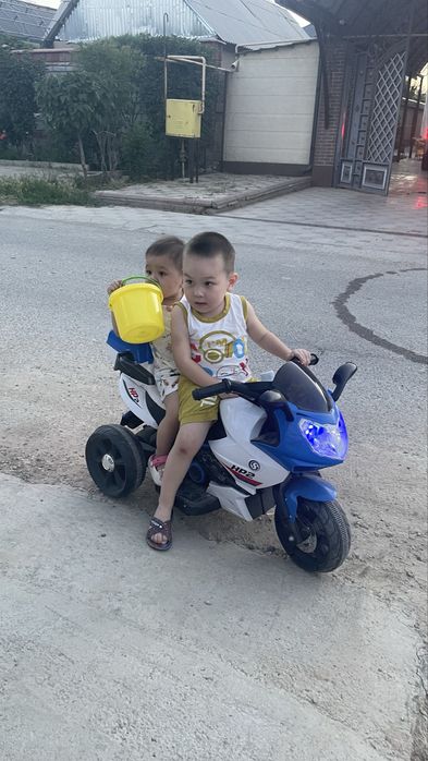 Канарейка самка мозайка