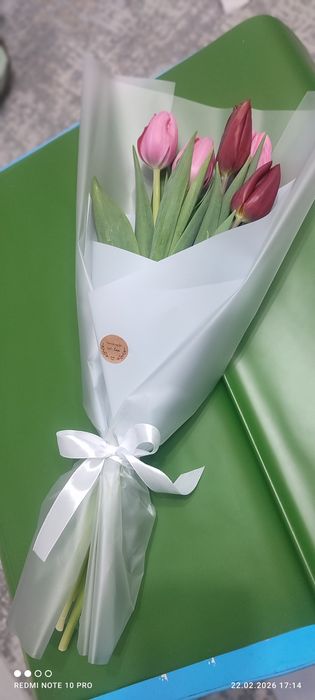 Голландские Тюльпаны к 8 Марта !!!