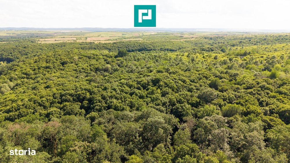 Teren Agricol Extravilan  22.900 Mp Lipova