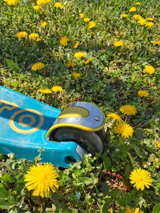 Trotineta de vânzare