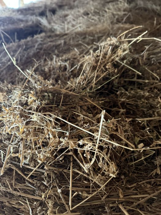 Baloti lucerna 3/4 /5coasa