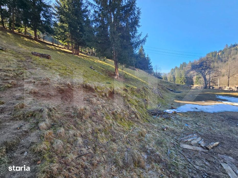 Teren de vanzare – 2.977 mp, intravilan, Scarisoara