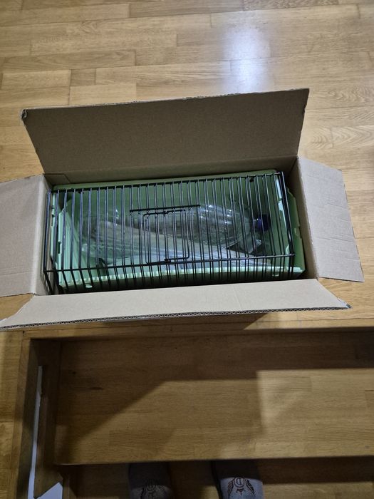 Colivie expo absolut noua