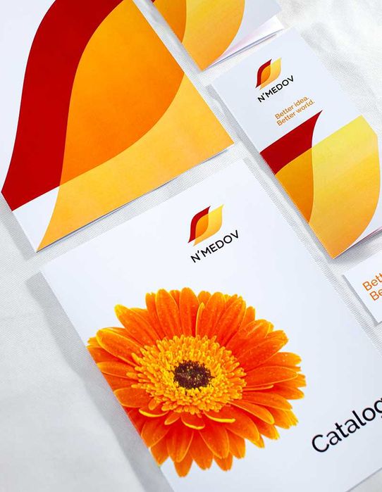 Брендинг. Дизайн упаковки. Разработка логотипов и фирменных стилей