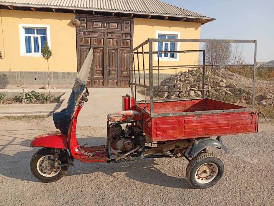 Муравей российский