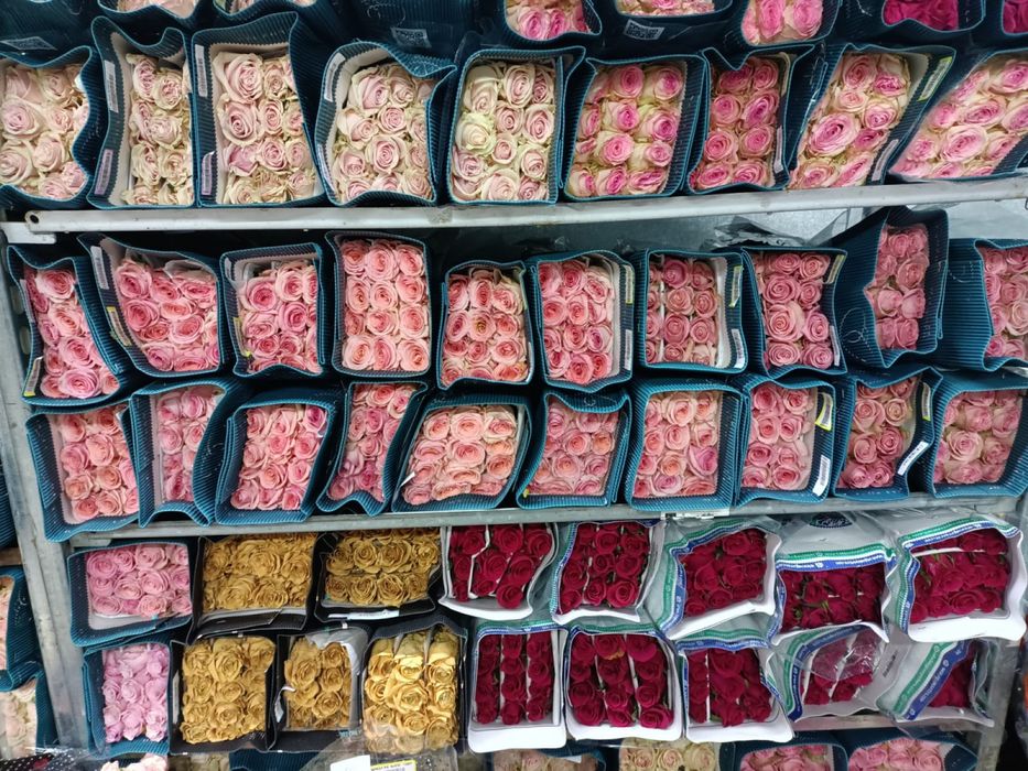 Розы 1000тг, Пионы оптом и в розницу