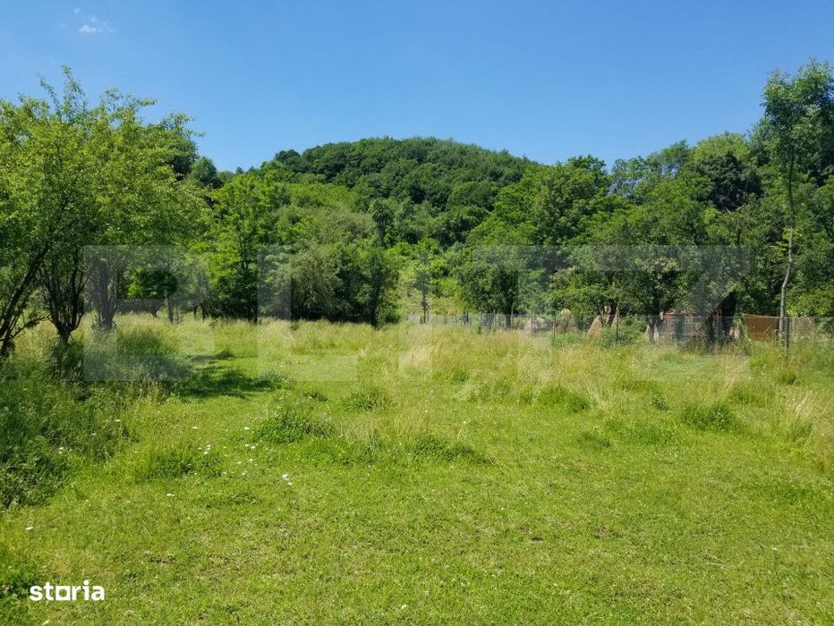 Teren intravilan – 3 loturi cu deschidere generoasa la DN72A | Malu