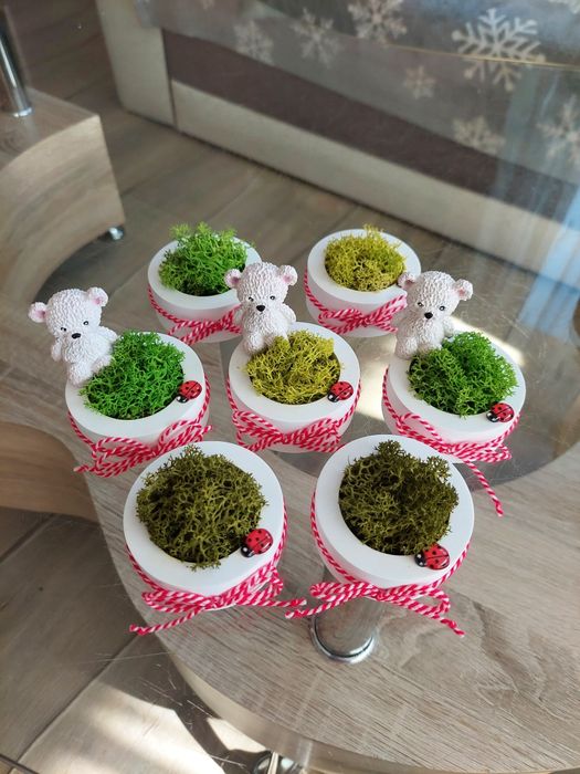 Магнити мартенички