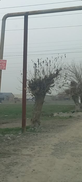 Сурум Земля 6+6 соток