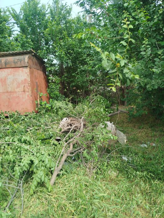 Даром дрова заберите