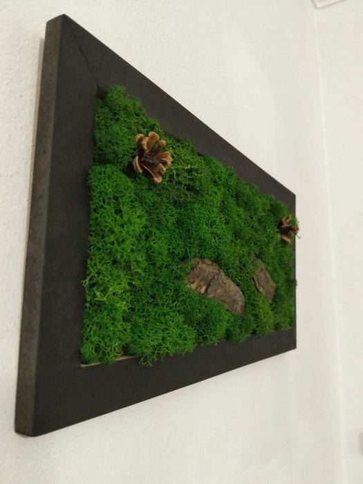 Vand tablou licheni diferite dimensiuni