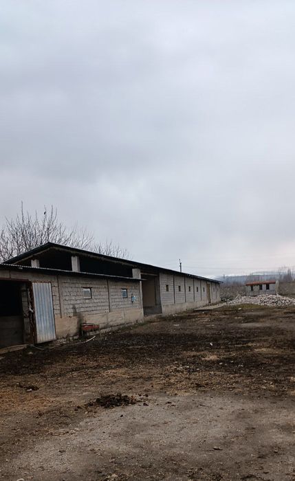 Земля 1,88 гектара срочно продается