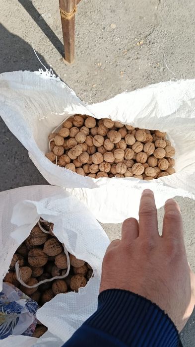 Жаңғақ 450 тг, Шымкент