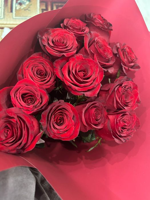 Продам голландские розы свежие