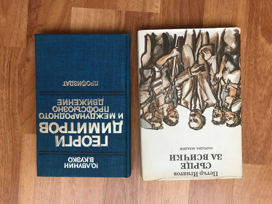 Книги на Руски език Белинский Руска литература Съветски романи