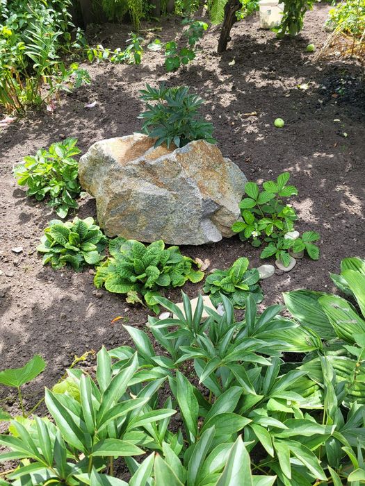 Продам дачу. (Энергостроитель)