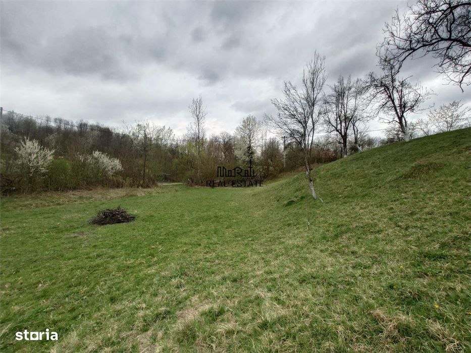 10 000 mp teren intravilan cu priveliste