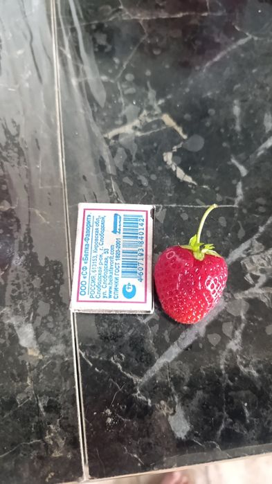 Принимаю заказы на клубнику