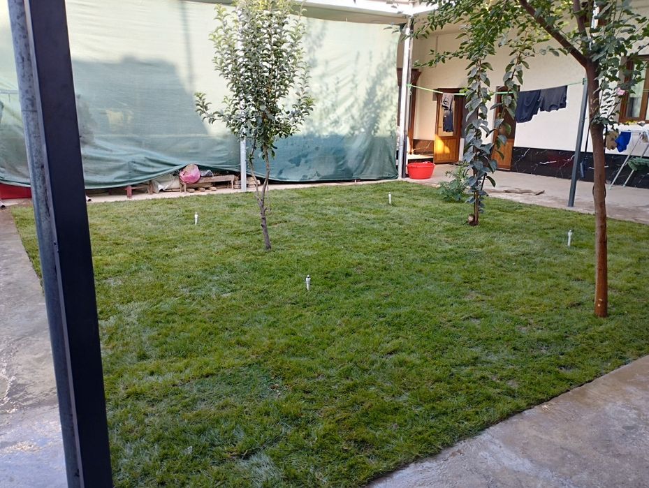 Газон     Gazon.