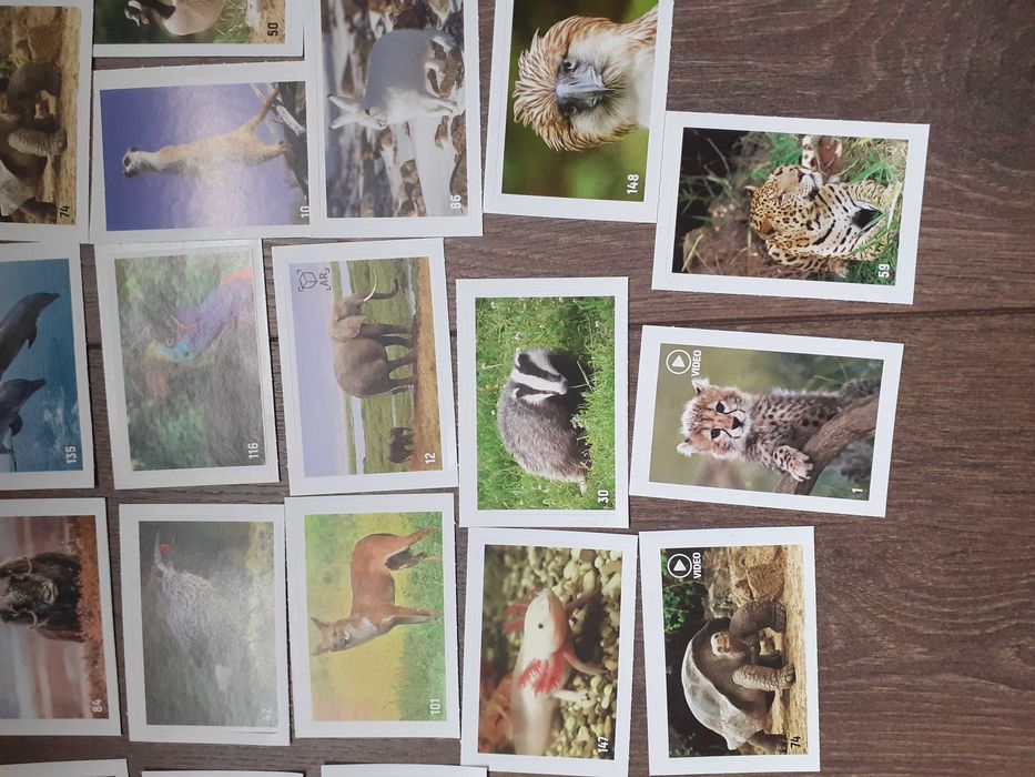 Стикери от албума на билла animal planet всичките-12лв