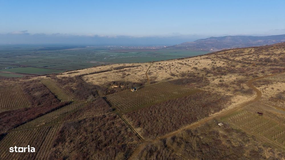 Vita-de-vie Premium  teren de 6800 mp în Covăsinț