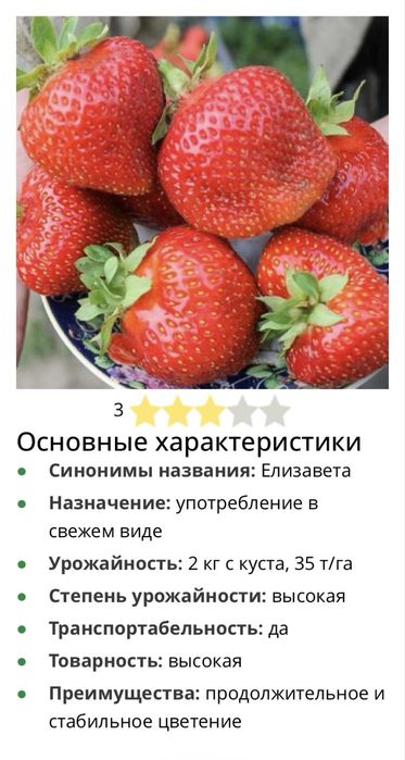 Продам саженцы клубники