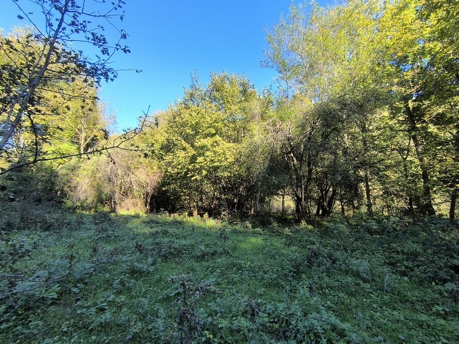 Продава се Парцел в с. Черни Осъм, Област Ловеч - 3150 кв.м за 3 €/кв.м - Снимка #1