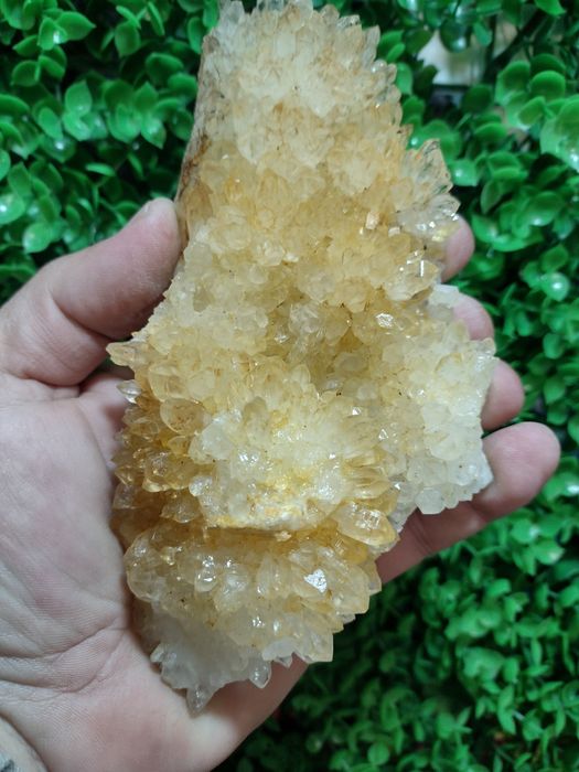 Минерали от Родопите