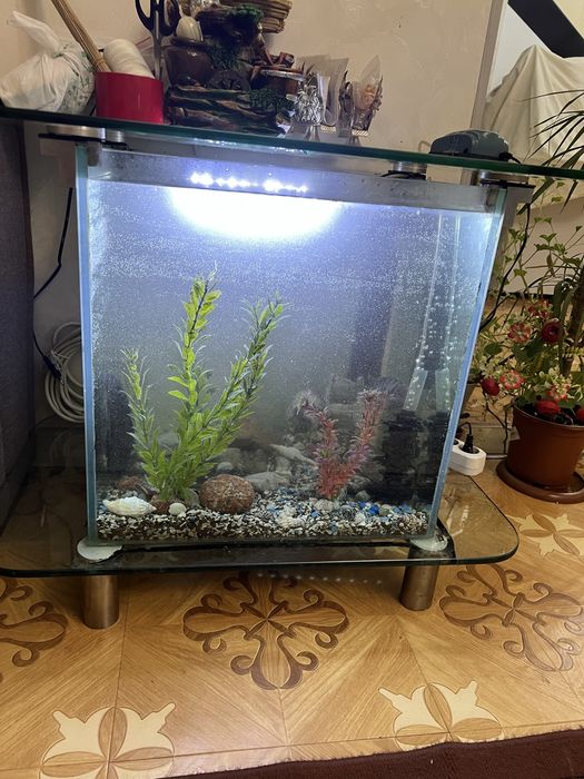 Продаю аквариум