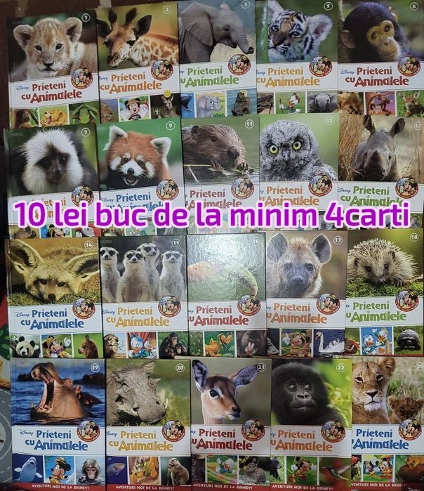 Cărți Pisici Razboinice,Disney,Franklin,Prima mea biblioteca ilustrata