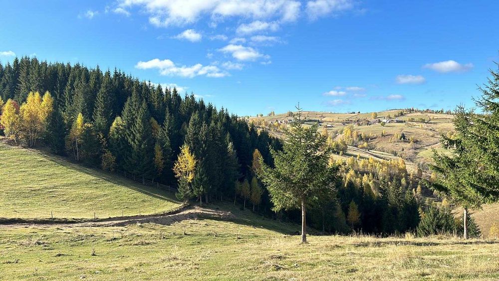 Teren pentru cabana intravilan 1000 mp, Maguri Racatau, panorama minunata