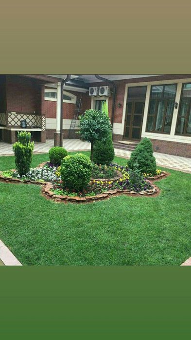 РУЛОННЫЙ газон с доставкой и укладкой