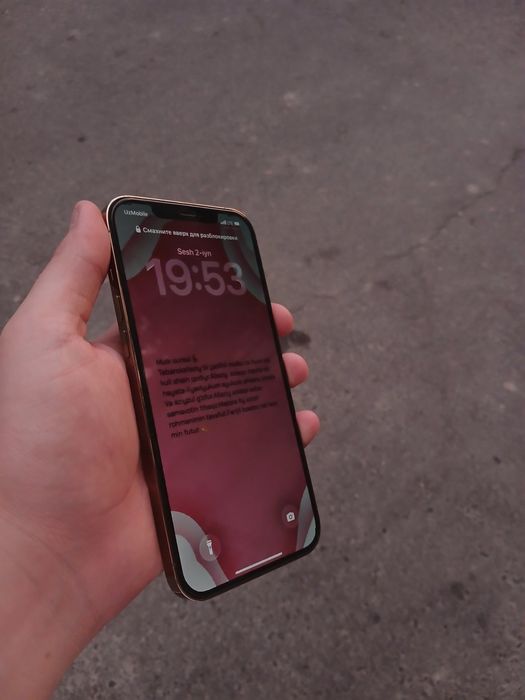 Iphone 12 pro max