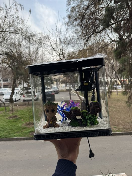 Akvarium xitoy mini new