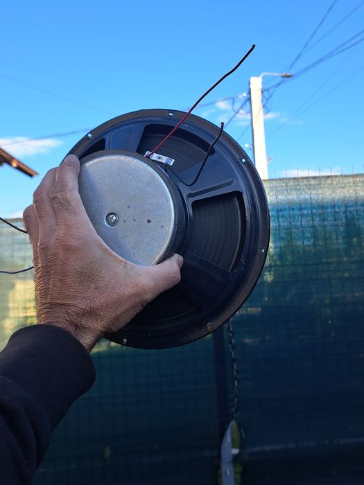 Difuzoare 10 inch  akai X10